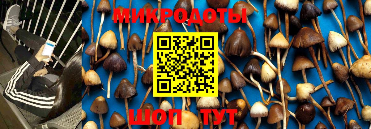 Галлюциногенные грибы мицелий  Вход с VPN  Псилоцибиновые грибы Psilocybe  Саянск 