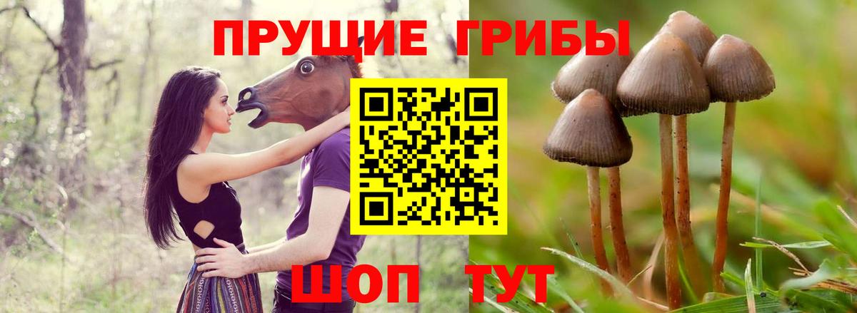 Мефедрон кристаллы  ГАШИШ  Канабис  Вход с VPN  Саянск  Гашиш  Мефедрон  Cocaine 